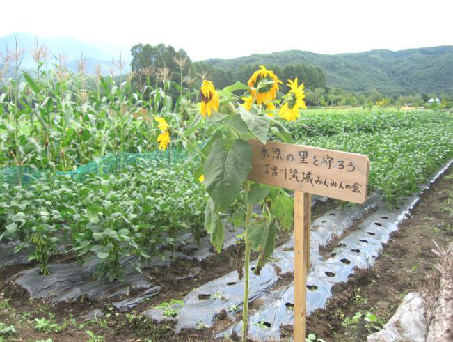 大豆畑
